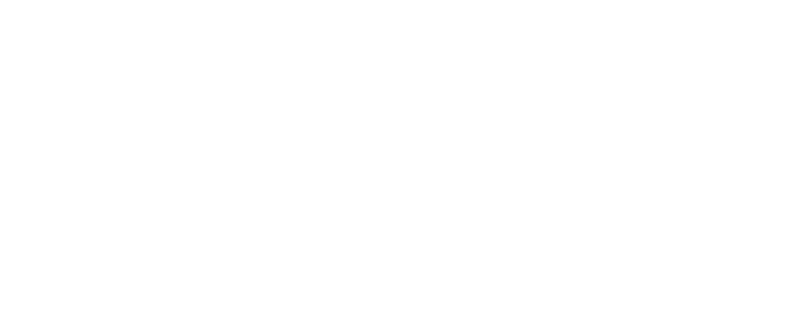 sololegno logo.webp
